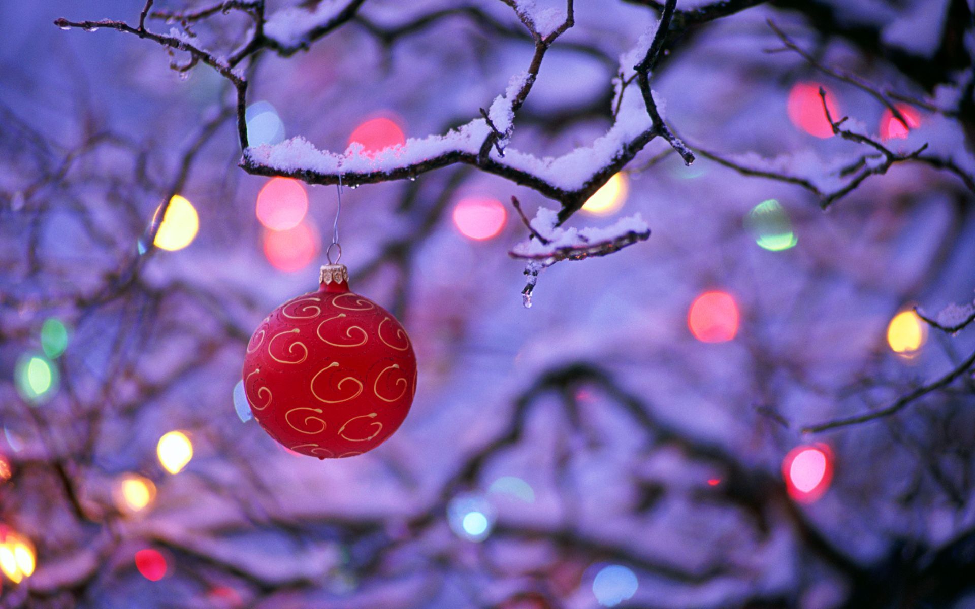 Un dicembre pieno di sorprese: idee regalo, Christmas Promo, Gift Card, Winter Camp, Christmas Party e molte altre iniziative in lingua per Natale e non solo!